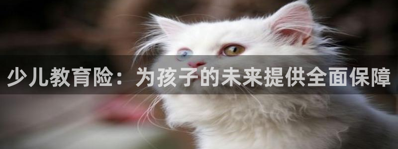 鸿运国际游戏平台