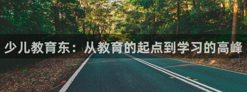 鸿运彩 票诈骗平台