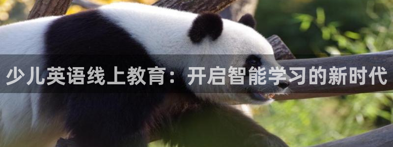 鸿运汽配团购平台