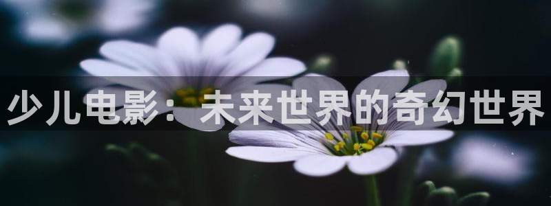 鸿运现场平台开户