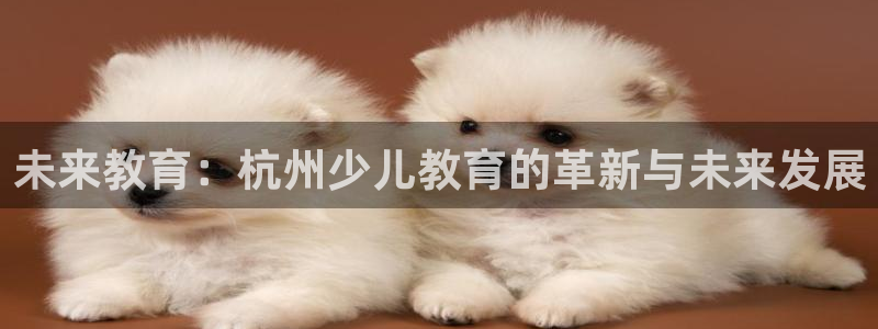 琥珀鸿运平台理财