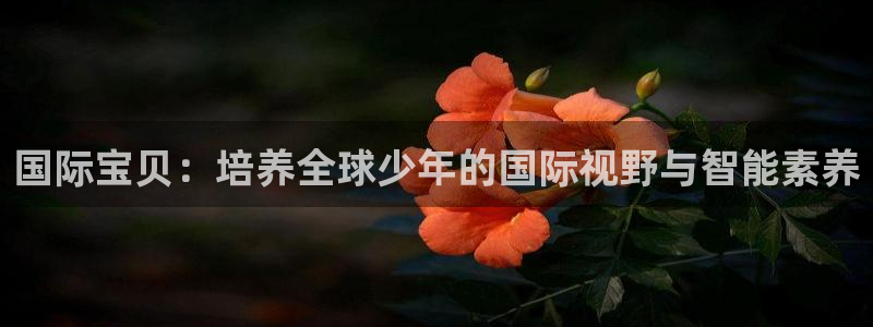 鸿运合拍字画拍卖平台