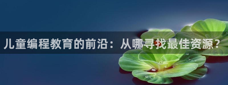 鸿运平台骗局揭秘