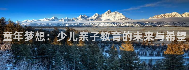 鸿运体育平台网址是什么