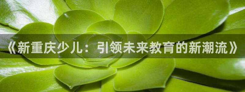 鸿运街物业平台