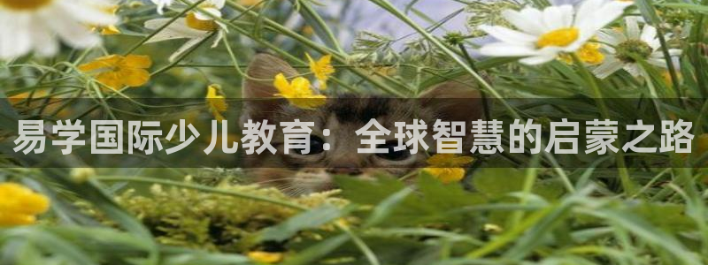 鸿运牛牛投注平台开户