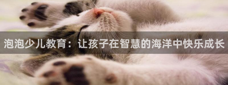 鸿运赌场视讯平台