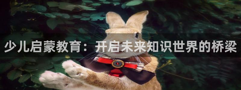 鸿运国际平台国