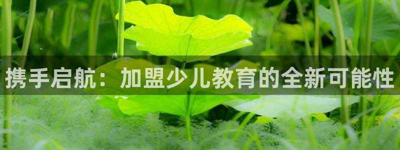 鸿运集团有几个平台