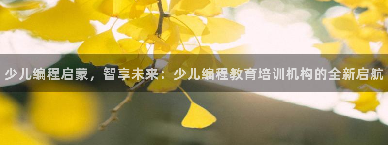 鸿运是什么平台