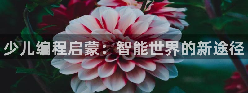 鸿运网上娱乐平台