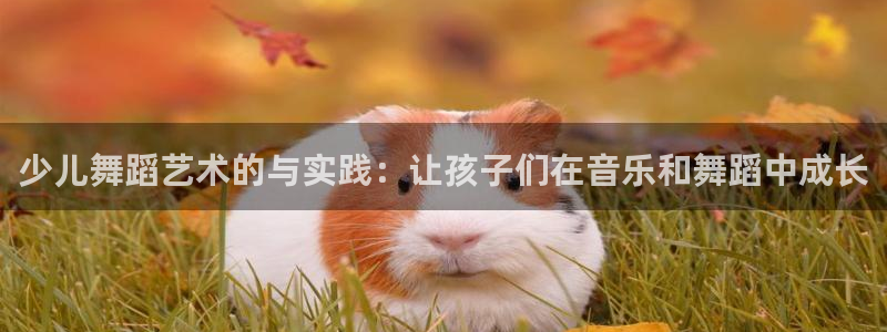 鸿运平台是干嘛的