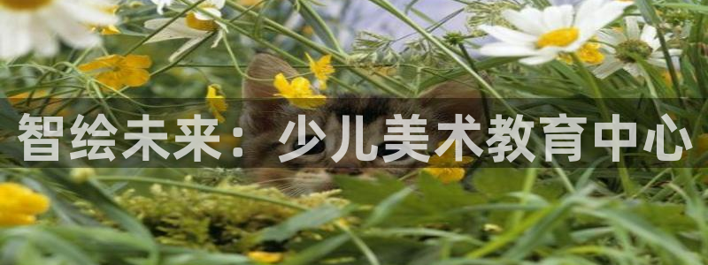 鸿运宝理财平台