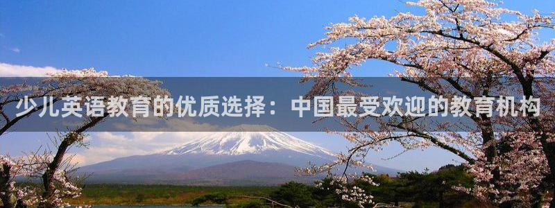 琥珀鸿运彩票平台靠谱吗