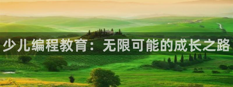 鸿运平台是大平台吗