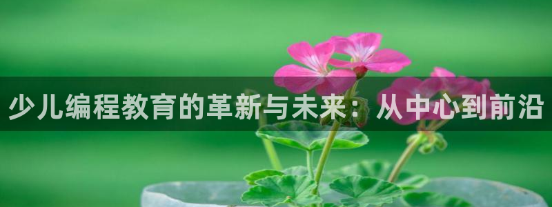 鸿运国际平台登录