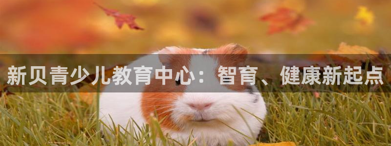 鸿运钱包平台正规吗