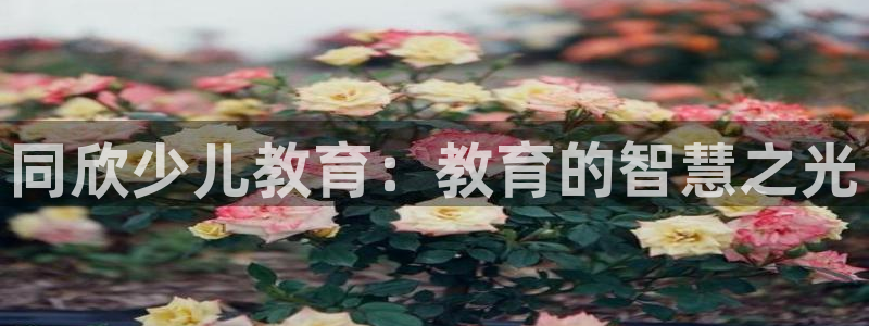 鸿运彩票专业购采平台