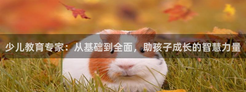 鸿运彩票注册平台