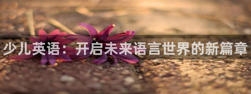 鸿运画室平台介绍