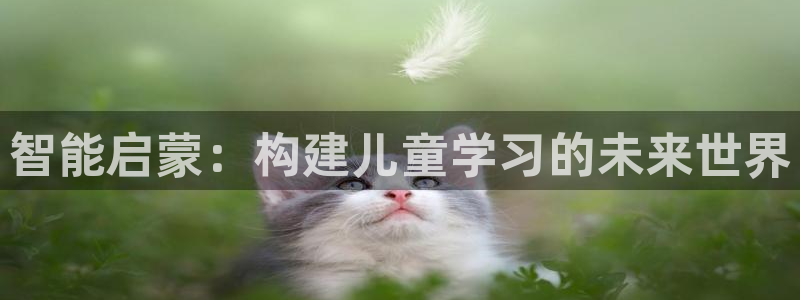 鸿运棋牌游戏平台