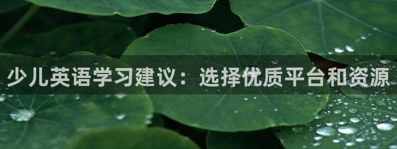 鸿运阿姨直播平台