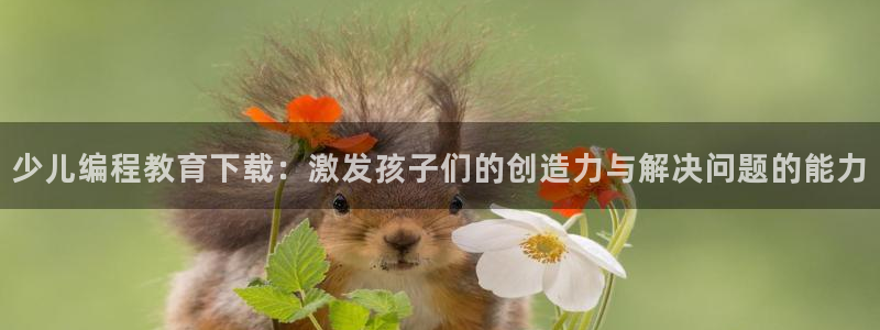 游戏鸿运平台网站