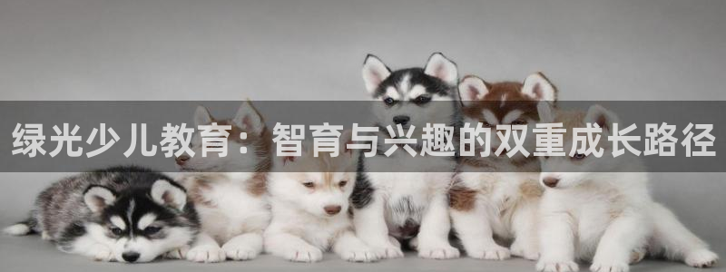 鸿运体育平台网址