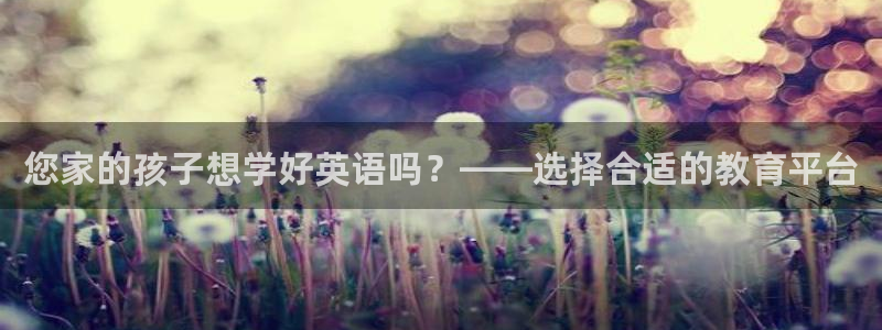 新鸿运股票平台