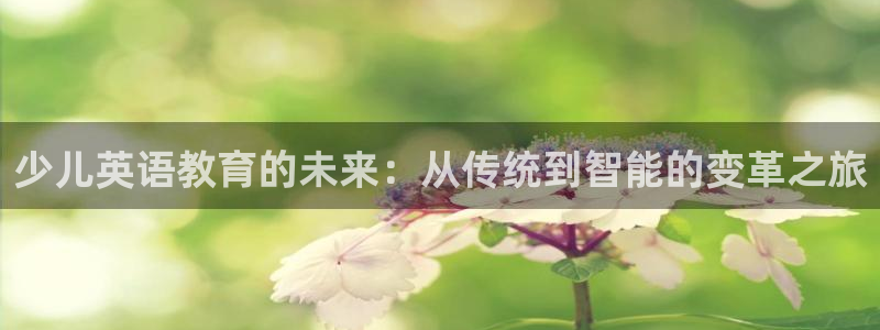 鸿运通什么平台