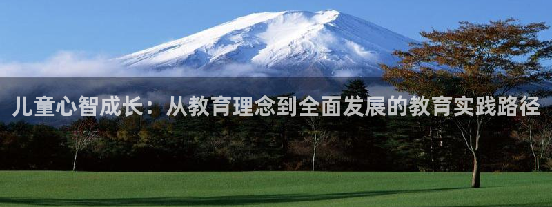 鸿运彩票网络平台官网