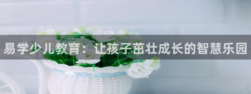 鸿运是什么平台