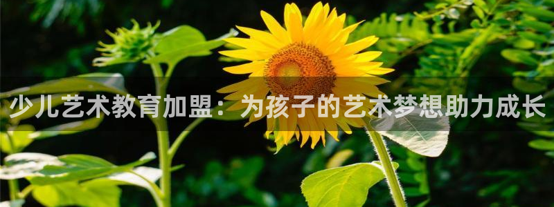 鸿运在线平台