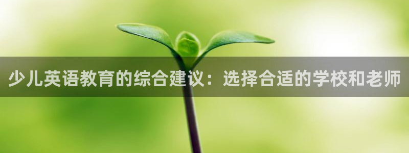 鸿运app是什么平台