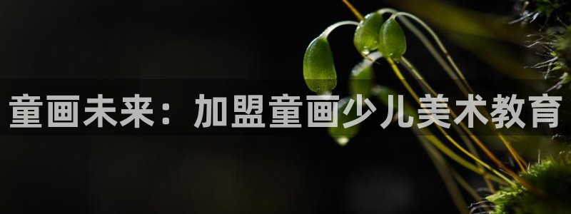 鸿运直接平台