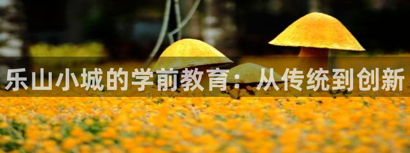 鸿运平台是骗局吗