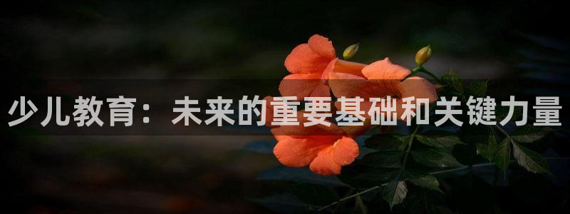 鸿运通借款平台